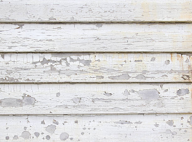 Best Historical Building Siding Restoration  in Eastern Goleta Valley, CA