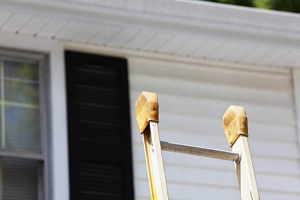 Best Brick Veneer Siding  in Eastern Goleta Valley, CA