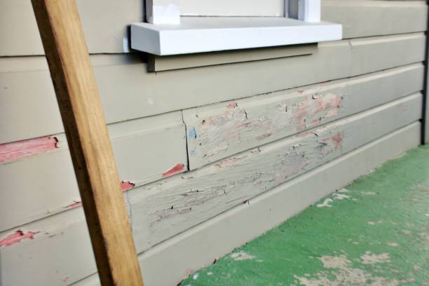 Best Fiber Cement Siding Installation  in Eastern Goleta Valley, CA